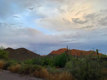 Aug 18 - Morning walk view near mailboxes on Sunset Trail.